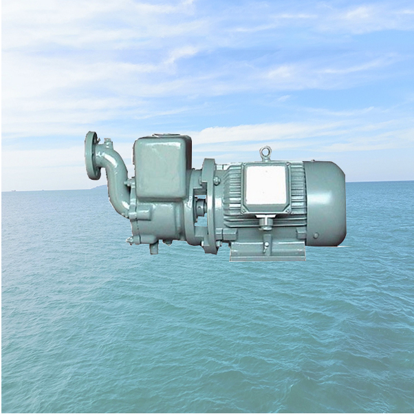 CWX Marine Self-priming Centrifugal Vortex Pump.png